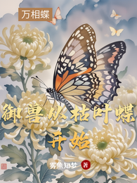御兽从枯叶蝶开始 封面
