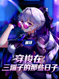 崩坏：穿梭在三崩子的那些日子 封面