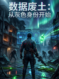 数据废土,从灰色身份开始 封面