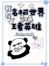 我在名柯世界召唤王者英雄 封面