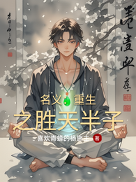 名义：重生之胜天半子 封面