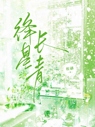 绛星长青 封面