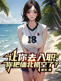 让你去入职，你把缅北抓空了？ 封面