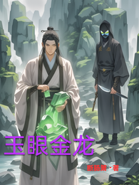 玉眼金龙 封面