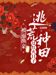 被逼换亲，逃荒种田过红火日子 封面