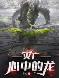 灭亡心中的龙 封面