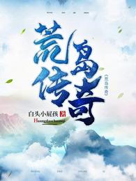 荒岛传奇 封面