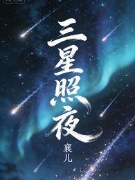 三星照夜 封面