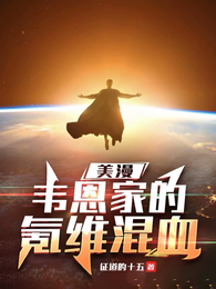 美漫:韦恩家的氪维混血 封面