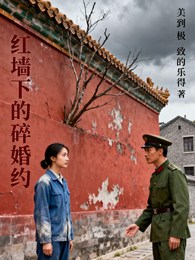 红墙下的碎婚约 封面