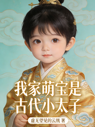 我家萌宝是古代小太子 封面