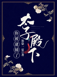太子殿下你被逮捕了 封面