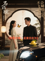 穿剧攻略:孟宴臣的光 封面