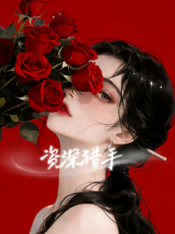 资深猎手 封面
