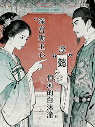 深宫砺玉心 封面