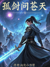 孤剑问苍天 封面