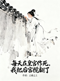 每天在皇宫作死，我把后宫搅翻了 封面