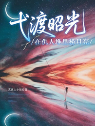 弋渡昭光 封面