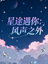 星途遇你：风声之外 封面