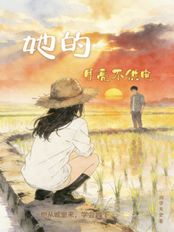 她的月亮不供电 封面