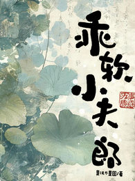乖软小夫郎 封面