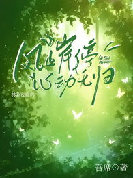 风止岸停心动无归 封面