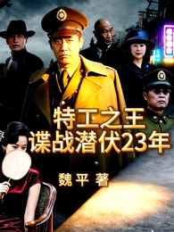 特工之王谍战潜伏23年 封面