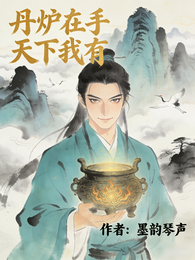 丹炉在手，天下我有 封面