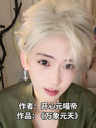 万相元天 封面