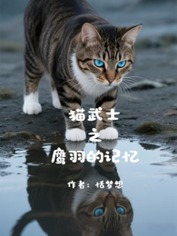 猫武士之鹰羽的记忆 封面