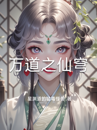 万道之仙穹 封面