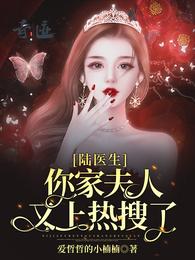 陆医生,你家夫人又上热搜了! 封面