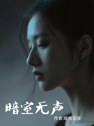 暗室无声 封面