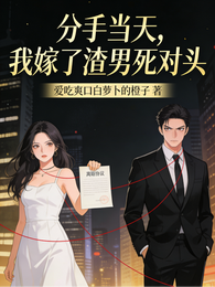 分手当天,我嫁了渣男的死对头 封面