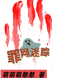 罪网迷踪 封面