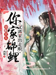宰相大人,你家锦鲤又离家出走啦 封面