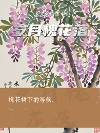 岁月槐花落 封面