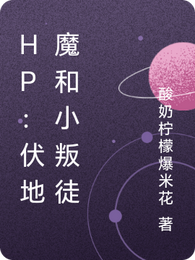HP：伏地魔和小叛徒 封面