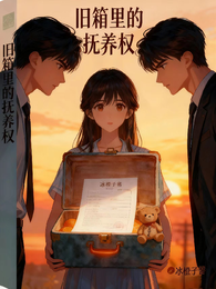 旧箱里的抚养权 封面