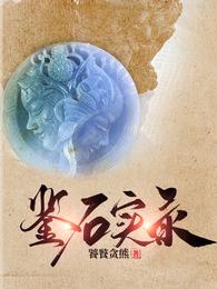 鉴石实录 封面