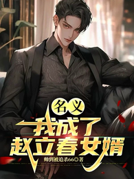 名义：我成了赵立春女婿 封面