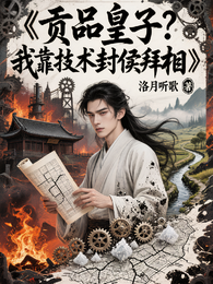 贡品皇子?我靠技术封侯拜相! 封面
