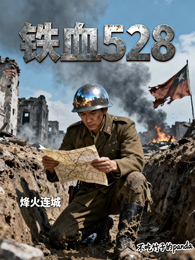 铁血528 封面