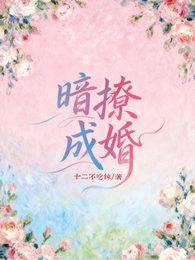 暗撩成婚 封面