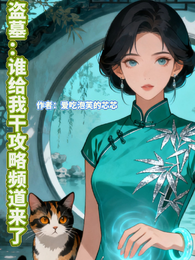 盗笔：谁给我干攻略频道来了 封面