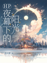 HP：夜幕下的阳光 封面