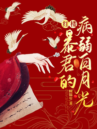 红楼:暴君的病弱白月光 封面