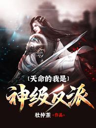 天命的我是神级反派 封面