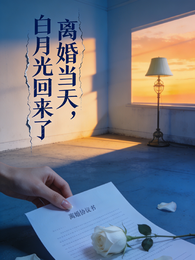 离婚当天，白月光回来了 封面
