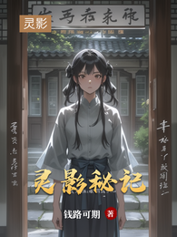 灵影秘记 封面